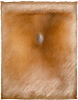 42.gif