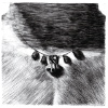 58.gif