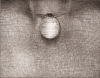 59.gif